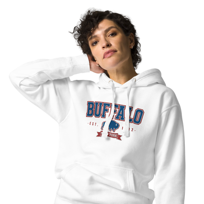 "Buffalo Collegiate" Embroidered Sweatshirt Hoody (multiple color options)