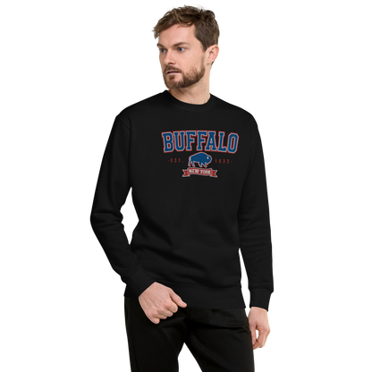 "Buffalo Collegiate" Embroidered Sweatshirt (multiple color options)