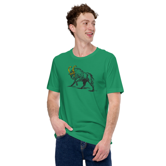 Unisex T-Shirt, Kelly Green (100% cotton)