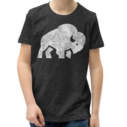 Dark Gray Heather (52% cotton, 48% polyester)