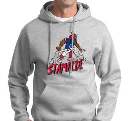 Sweatshirt Hoody, Sport Gray (50% cotton, 50% polyester)