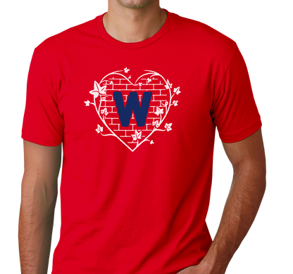 Unisex T-Shirt, Red (100% cotton)