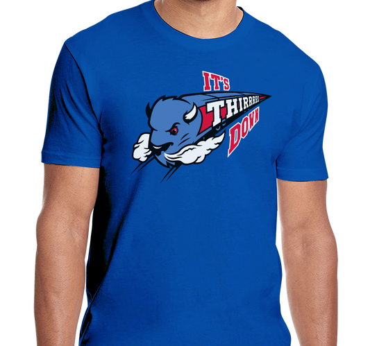 Unisex T-Shirt, Royal (100% cotton)