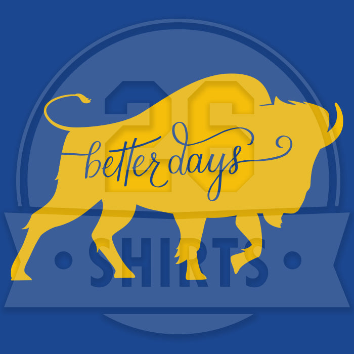 "Better Days" Sweatshirt Hoody (multiple color options)