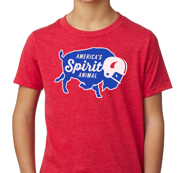 Youth T-Shirt, Heather Red (60% cotton, 40% polyester)