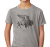 Youth T-Shirt, Dark Heather Gray (60% cotton, 40% polyester)