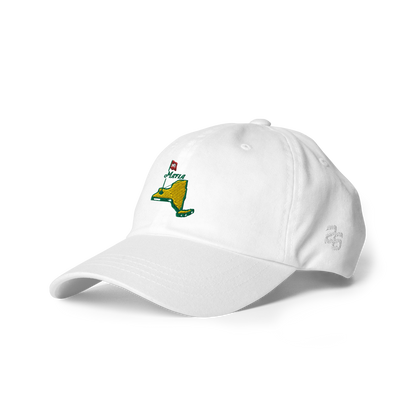 "A Family Unlike Any Other" Dad Cap